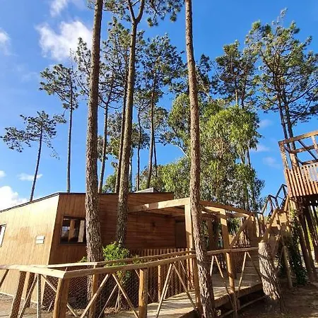 Bukubaki Eco Surf אתר נופש