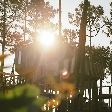Bukubaki Eco Surf 4* פרל