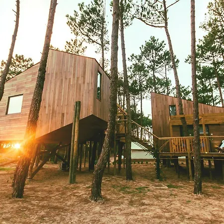 Bukubaki Eco Surf 4* פרל