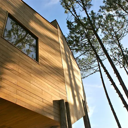 Bukubaki Eco Surf Ferrel