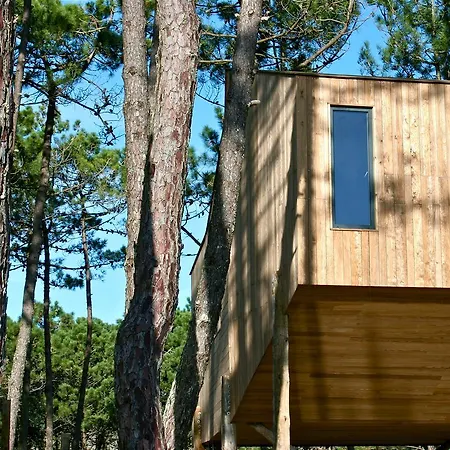 Bukubaki Eco Surf 4* Ferrel