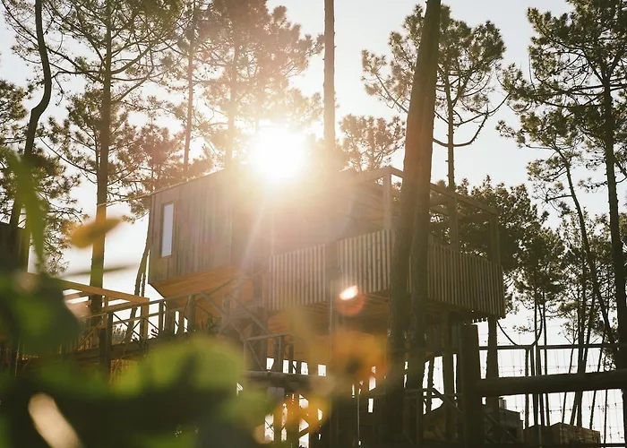 Bukubaki Eco Surf 4* Ferrel (Leiria)