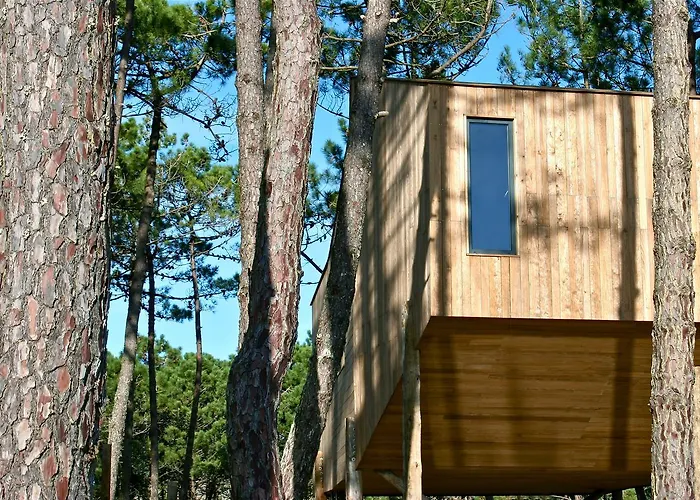 Bukubaki Eco Surf 4* Ferrel (Leiria)